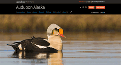 Desktop Screenshot of ak.audubon.org