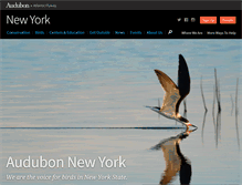 Tablet Screenshot of ny.audubon.org