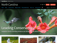 Tablet Screenshot of nc.audubon.org